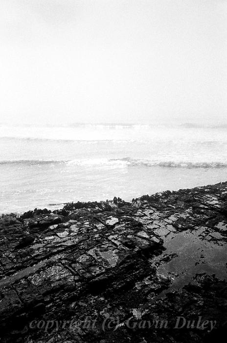 Sea Fog, Penguin Beach, Dunedin 00570018.JPG - Kodak TriX 400 film